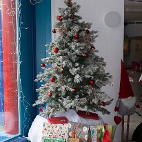 MdM Noël 2025 - DenisGuyot (7)